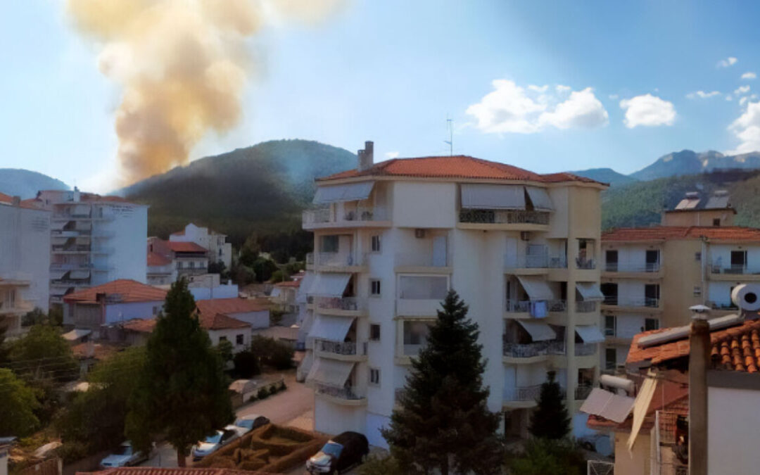 Αναγνώριση μειωμένου καταλογισμού στον δράστη του εμπρησμού δάσους στην Τρίπολη